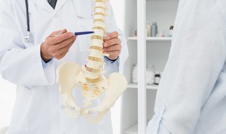 doctor pointing at model of spine